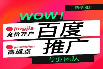 百度竞价广告与自然搜索排名的结合策略案例